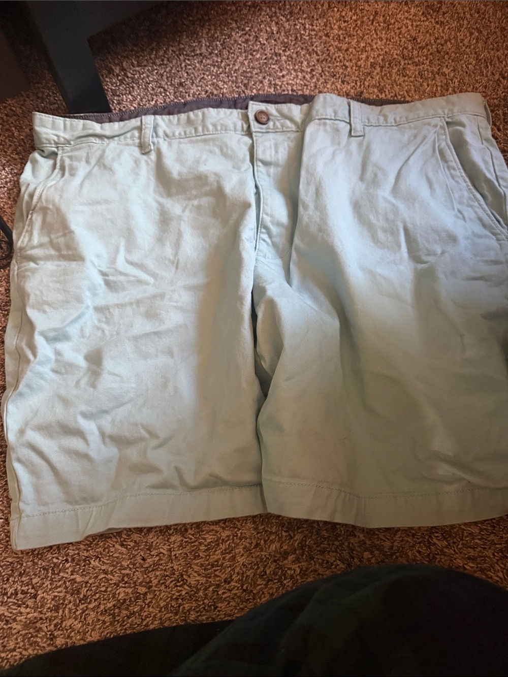 Men's Casual Light Mint Green Cotton Shorts